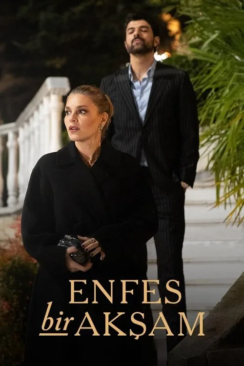 Enfes Bir Akşam afişi